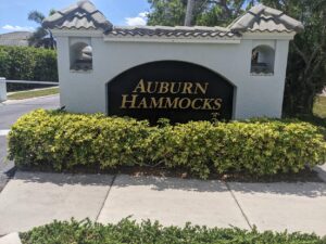 Auburn Hammocks